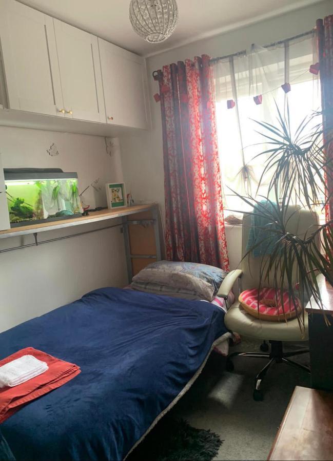 Cosy Room In London Wembley Екстер'єр фото
